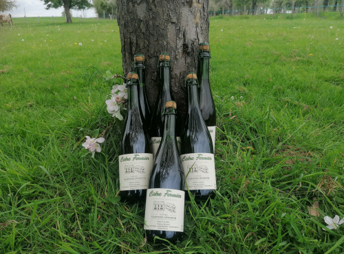 Domaine Fourmond Lemorton - Cidre Fermier Demi-Sec BIO x6