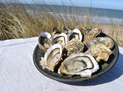 Huître de Normandie - Huîtres Fines No.5 LAFOSSE - 24 Pièces