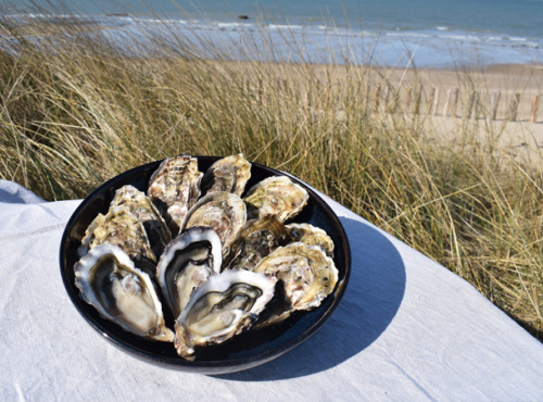 Huître de Normandie - Huîtres Fines No.3 LAFOSSE - 48 Pièces