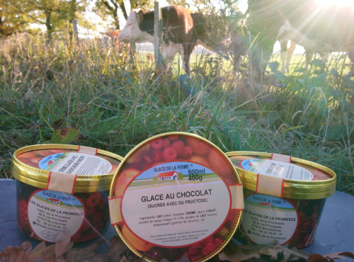 Les Glaces de la Promesse - Glace Chocolat sucrée au fructose pouvant convenir pour certains types de diabètique