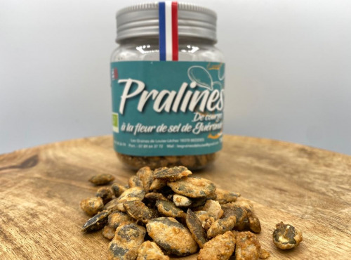 Les Graines de Louise - Pralines de Courge Fleur de Sel Biologique