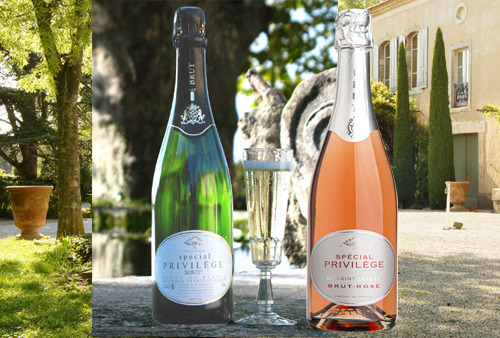 Château Saint Estève d'Uchaux - ASSORTIMENT VINS MOUSSEUX POUR LES FÊTES : Brut BIO Blanc et Rosé Méthode Traditionnelle x6