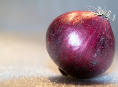 Le Châtaignier - Oignons rouges - 5kg