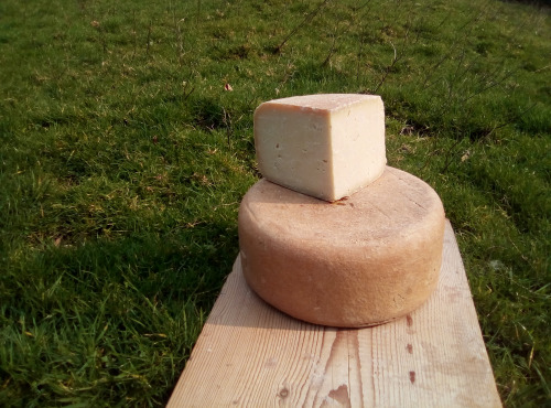 La ferme Lassalle - Fromage de Brebis AOP Ossau-Iraty Fermier d'Estive - le quart de 1kg