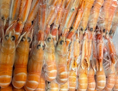 AQUADIS NATURELLEMENT - [surgelé] Langoustines entières crues surgelées