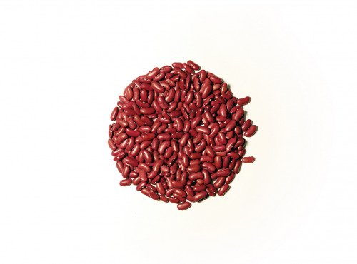 Famille Rochefort - Haricots rouges bio 10kg