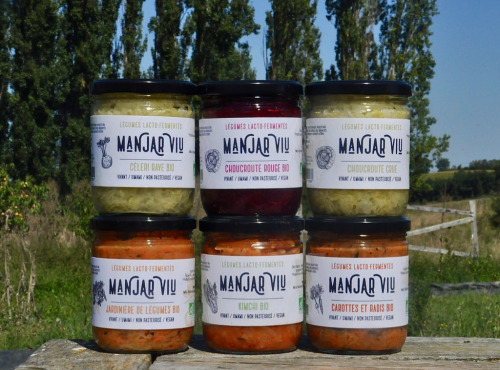 Manjar Viu : Légumes lacto fermentés - Lot de 6 pots de 400g de Légumes Bio - lacto-fermentés