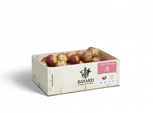 Maison Bayard - Pommes De Terre Miss Blush - 3kg