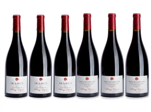 Domaine Tupinier Philippe - Lot De 2 Vins Rouges : Bourgogne Côte D'Auxerre Rouge 2016  Et Irancy AOC 2018- 6 Bouteilles