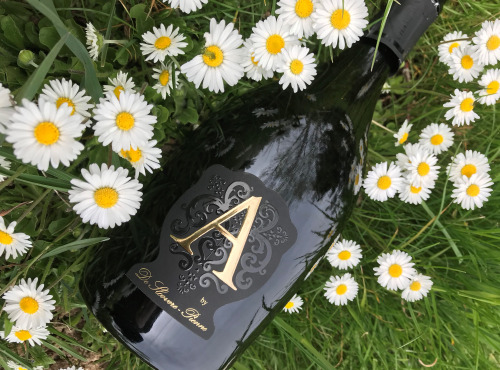 Champagne De Sloovere - Pienne - Champagne Cuvée Ange - Blanc de Blancs - Brut