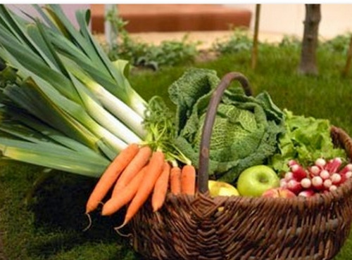 Au bon Jardinet - Panier de fruits & légumes de saison 10kg + petit cadeau :)