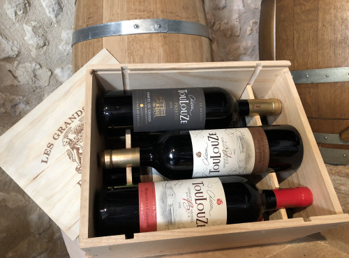 Château des Plassons - Coffret Bois Château Toulouze: 2 Cuvée Prestige 2016, 2 Grande Cuvée 2018 Et 2 Cuvée Fruitée 2018