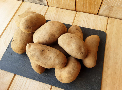 Gourmets de l'Ouest - Pommes de terre de Saint-Malo