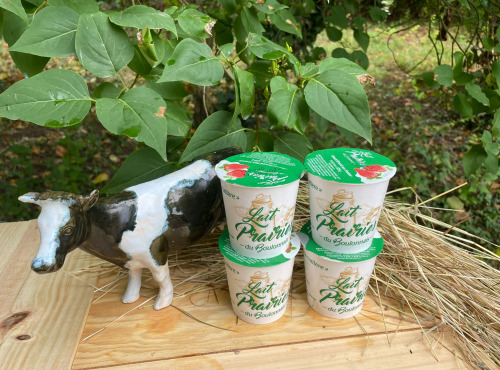 Lait Prairies du Boulonnais - Yaourt fermier brassé à la fraise x4