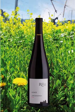 Domaine Rieflé-Landmann - ALSACE CÔTE DE ROUFFACH Pinot Noir 2020