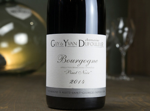 Dyvin : domaine Guy et Yvan Dufouleur - Domaine Guy & Yvan Dufouleur - Bourgogne Pinot Noir - Lot De 6 Bouteilles