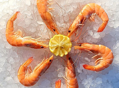 Camargue Coquillages - Crevettes Cuites au sel de Camargue