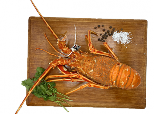 Luximer - Langouste Royale Cuite - Pièce De 900g