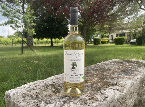 Vignobles Fabien Castaing - AOC Côtes de Bergerac Blanc Moelleux Prim'Origine 2019 - 6x75cl