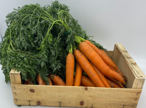 Le Panier du Producteur - Botte de Carottes "fane"