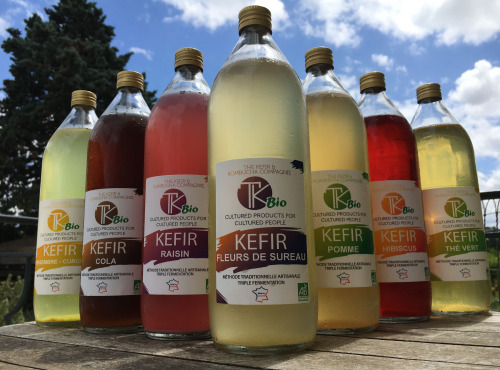 TK Bio - The Kefir et Kombucha Compagnie - PACK Kéfir de fruits  6 x 1litre