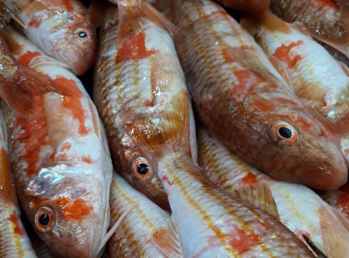 Le Panier à Poissons - Rouget Barbet Lot De 500gr (150 à 180gr Par Pièce)