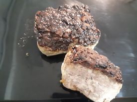 SCEA Champ du Puits - Pâté de campagne Bio