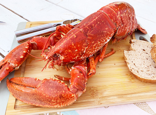 Ô'Poisson - Homard Cuit - Pièce De 400g/500g