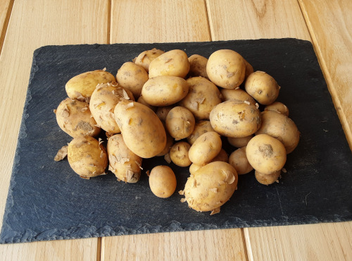 Gourmets de l'Ouest - Grillades 6 personnes porc plein fermier + pommes de terre de Saint-Malo