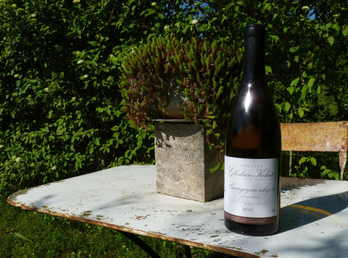 Domaine Ghislain Kohut - Lot 6 Bouteilles de Bourgogne Aligoté AOC