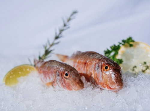 Côté Fish - Mon poisson direct pêcheurs - Rouget