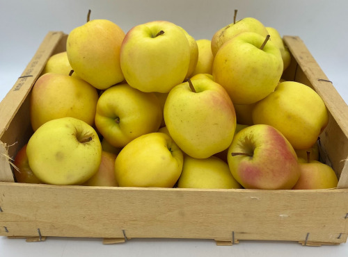 Le Panier du Producteur - Pomme "Golden"