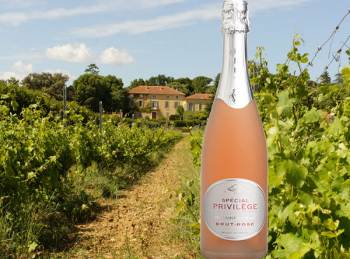 Château Saint Estève d'Uchaux - VIN DE FÊTES : Méthode Traditionnelle IGP Méditerranée Brut Rosé BIO Spécial Privilège de St Estève