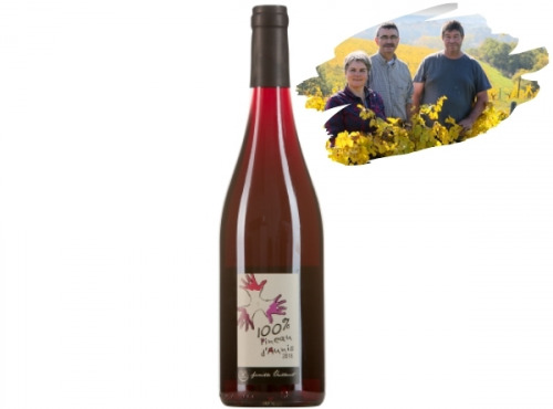 Réserve Privée - Anjou Bio - Domaine les Grandes Vignes - Pineau d'Aunis Rouge