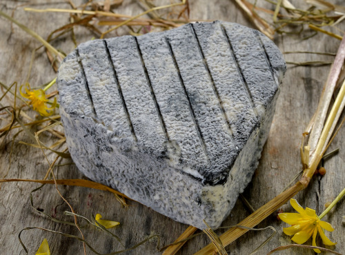 Le Petit Perche - Cœur Demi Sec de Chèvre