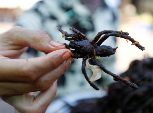 A la Truffe du Périgord - Mygale frite