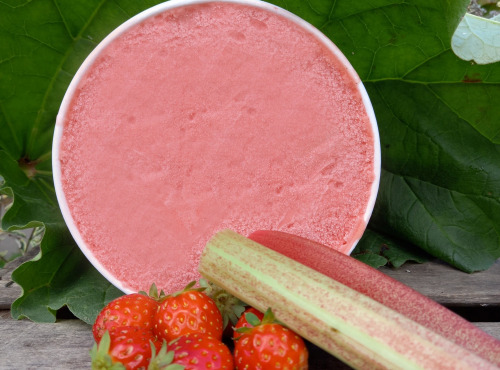 O Maribelle - Sorbet Fraise Rhubarbe BIO 1 litre