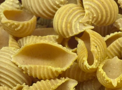 L'Atelier à Pâtes - Pâtes Conchiglie Rigate Au Curry De Madras Bio