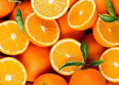 Le jardin de Staging - Oranges Bio