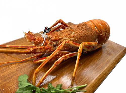 Luximer - Langouste Royale Vivante - Pièce De 900g