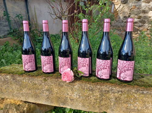 Domaine d'Auménie - Beaujolais Nouveau Primeur 2022 - 6x75cl