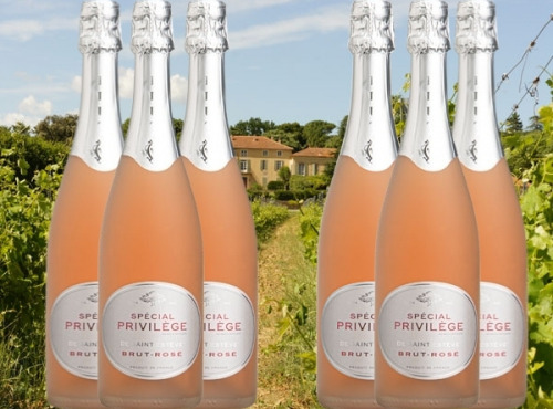 Château Saint Estève d'Uchaux - VIN DE FÊTES   - Brut Rosé BIO Méthode Traditionnelle x6