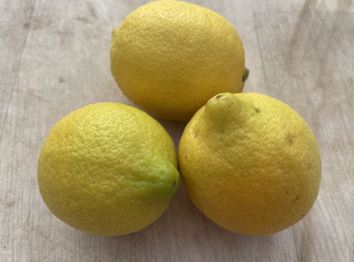 Le Potager de Sainte-Hélène - Citron primofiori bio de Sicile x 3