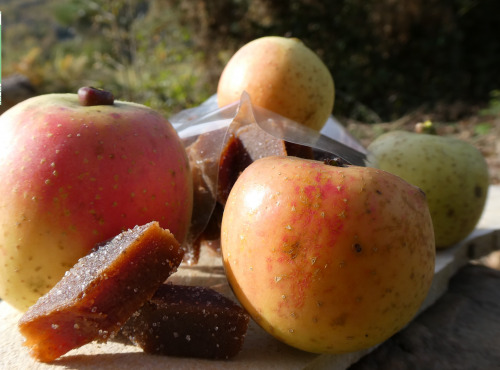 Terres En Vie - Pâtes de fruits à la Pomme Bio