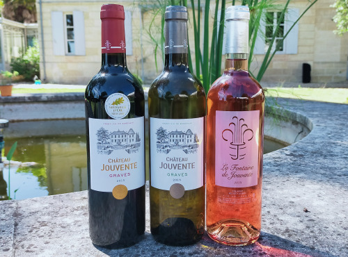 Château Jouvente - Jouvente sous toutes ses couleurs - 3 Bouteilles