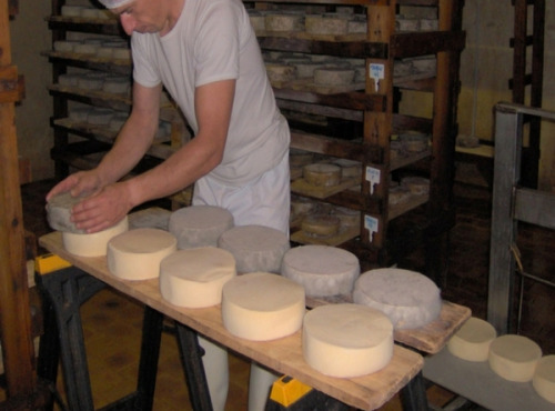 Fromagerie de la Chapelle Saint Jean - Tomme Fraîche