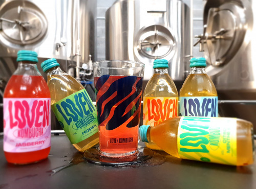 Brasserie L'Indispensable LOVEN Kombucha - Kombucha Fanatic LOVEN Pack - 6x33cl + 1 verre