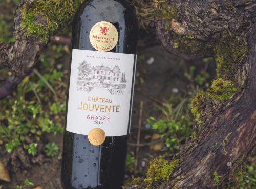 Château Jouvente - Le 2012 de Jouvente, 10 ans déjà - 1 Bouteille de 75 cl