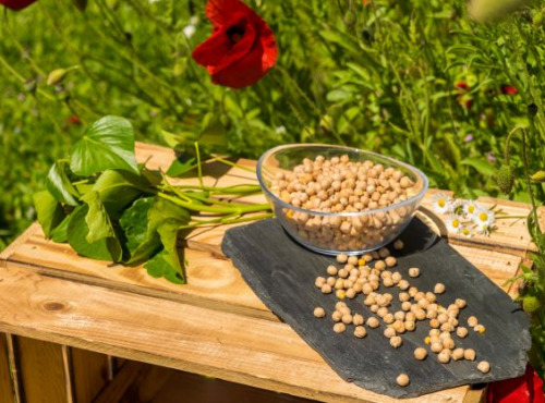 Sa Majesté la Graine - Pois chiches du Berry HVE - sac 5 Kg