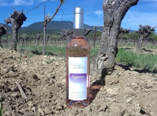 Domaine Les Conques Soulière - Agarrus Vin Rosé IGP Méditerranée